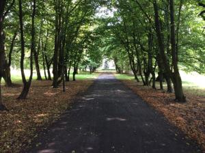 The drive from the road to Dębinki