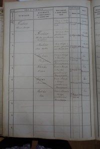 Piwkos in the Brześć Kujawski Book of Residents